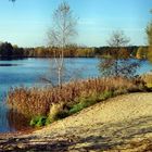 Herbst am See...2)