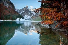 Herbst am Seealpsee