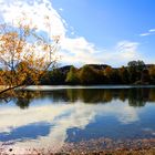 Herbst am Seepark