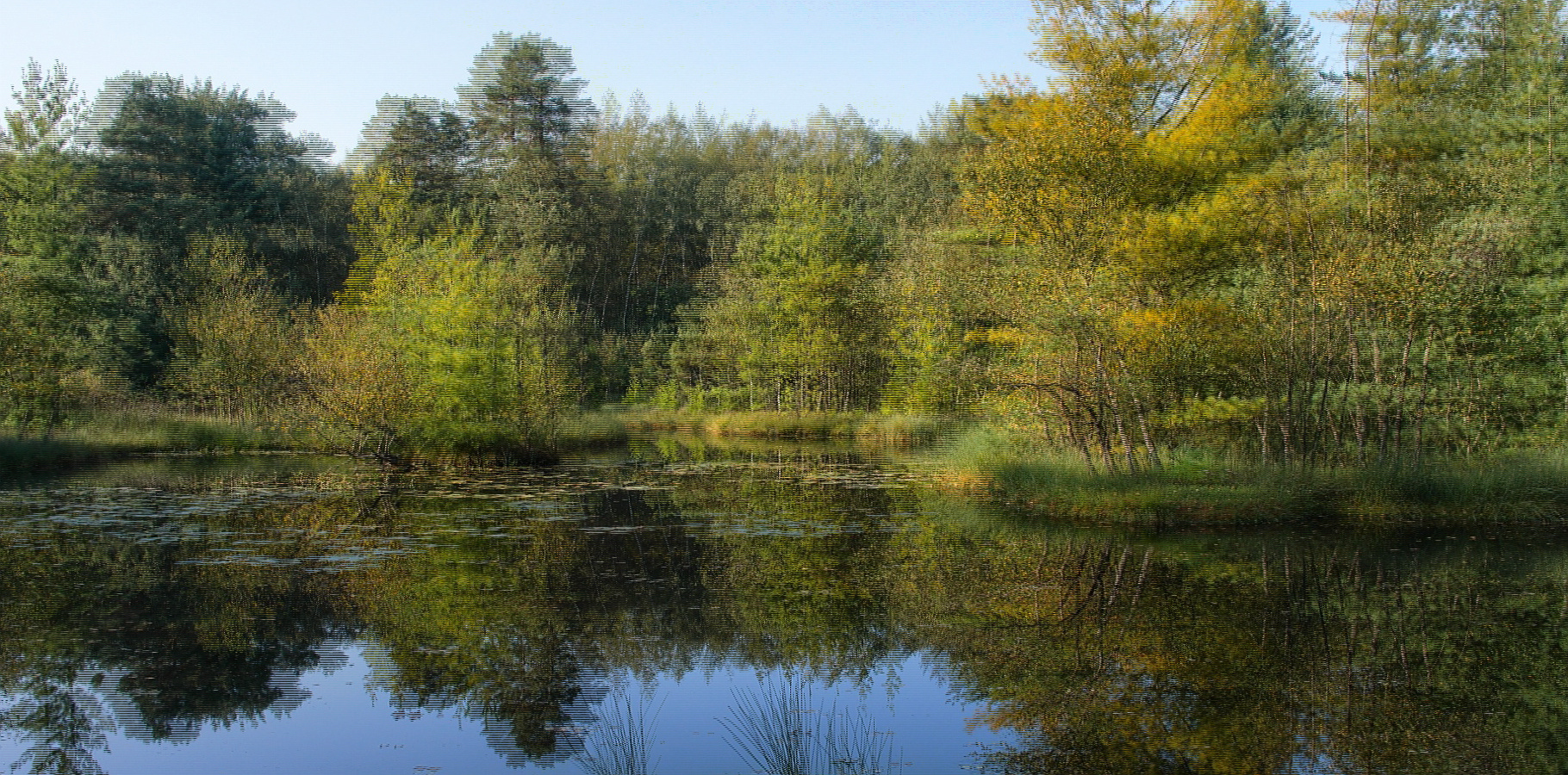 Herbst am Seerosen-Schlatt (3D für Polfilter-Monitor oder TV)