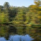 Herbst am Seerosen-Schlatt (3D für Polfilter-Monitor oder TV)