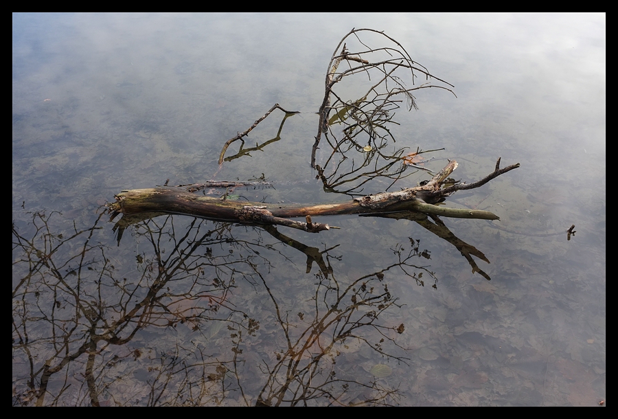 Herbst am Seeufer