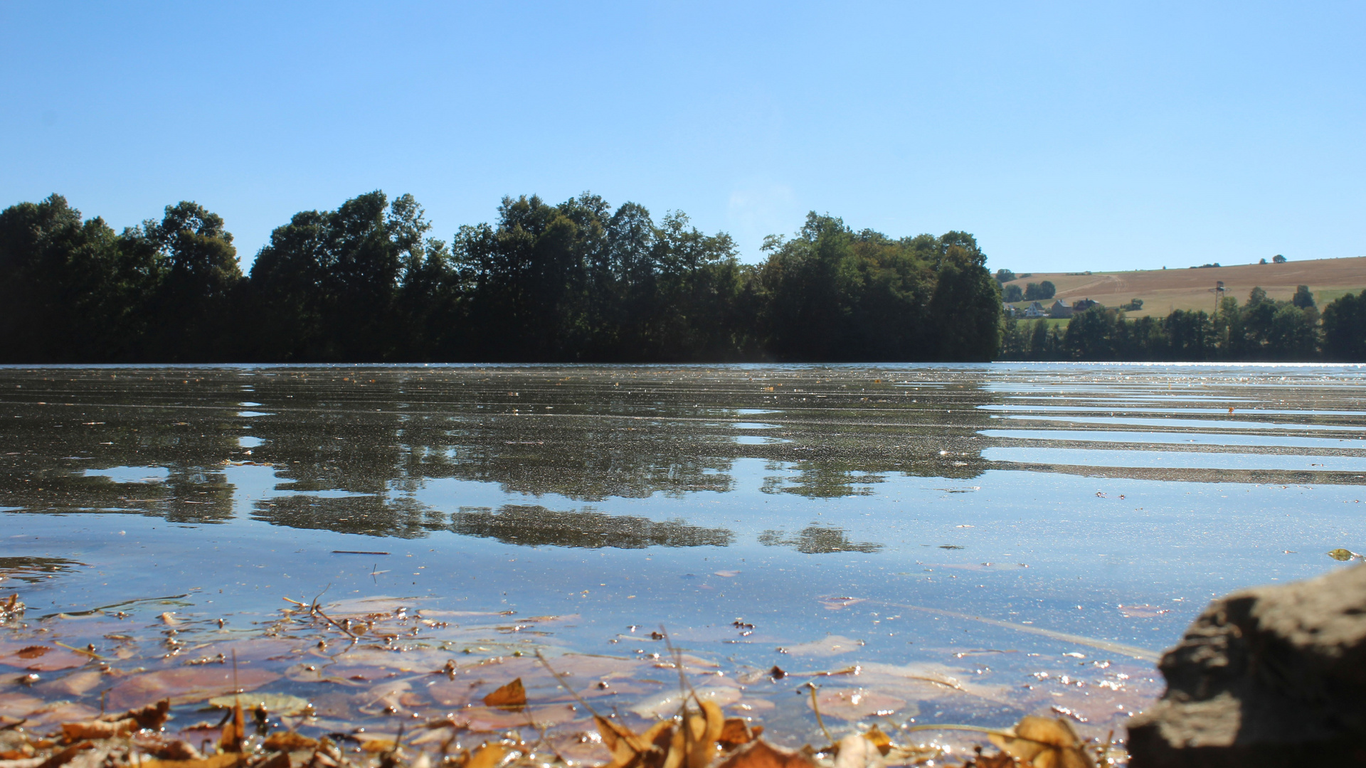 Herbst am Seeufer