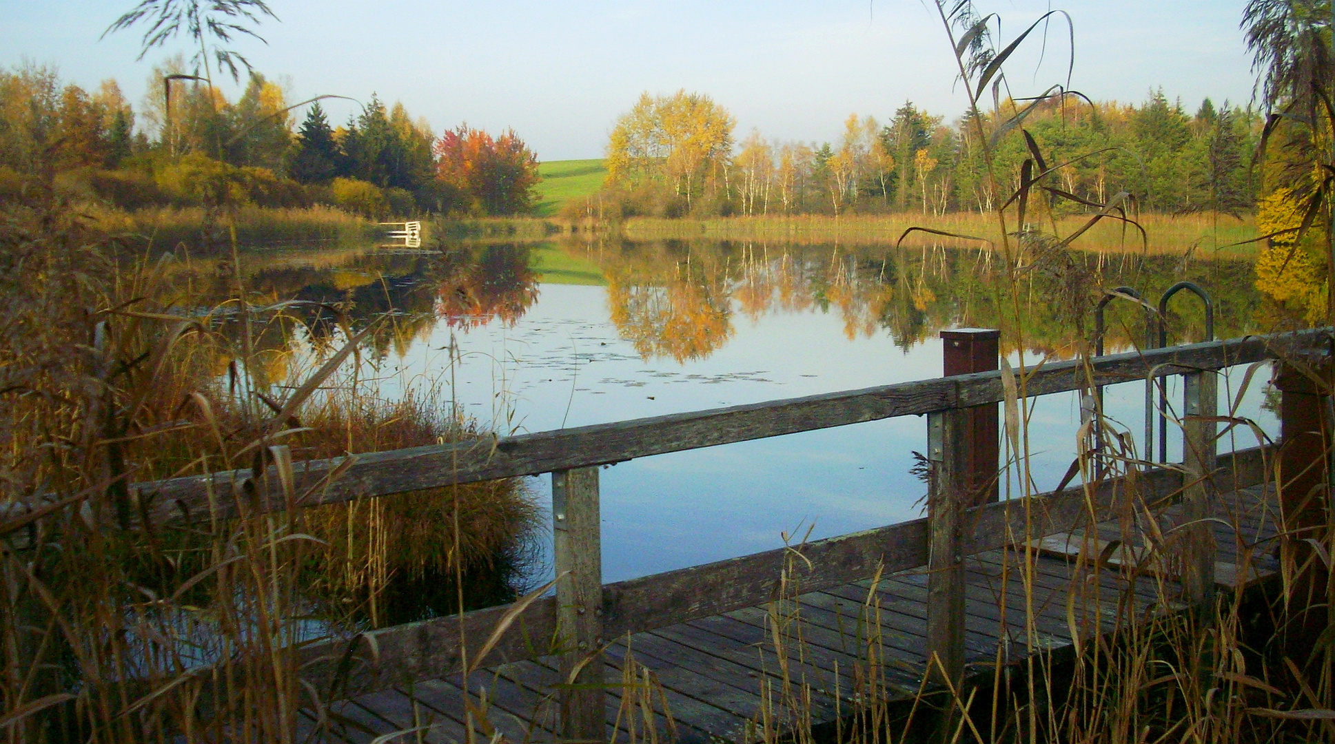 Herbst am Seeufer