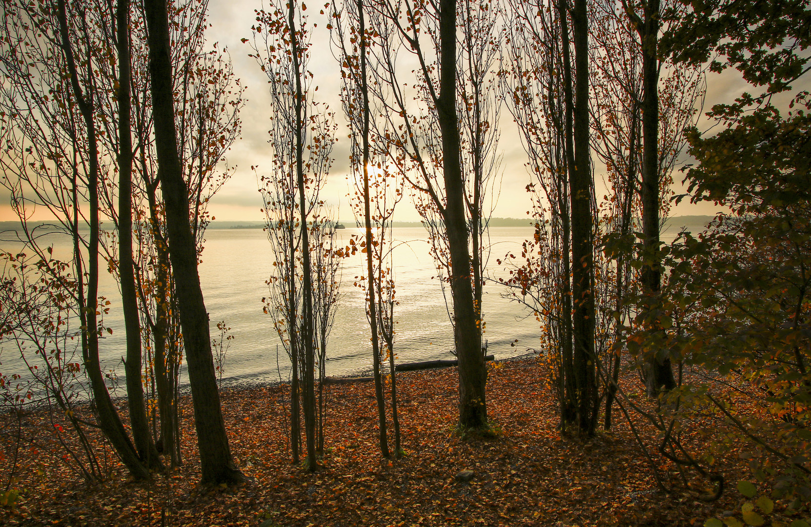 Herbst am Seeufer