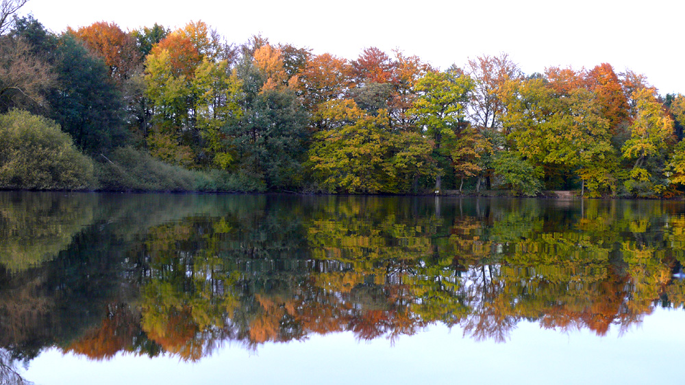 Herbst am Seeweiher