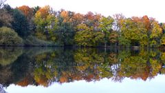 Herbst am Seeweiher