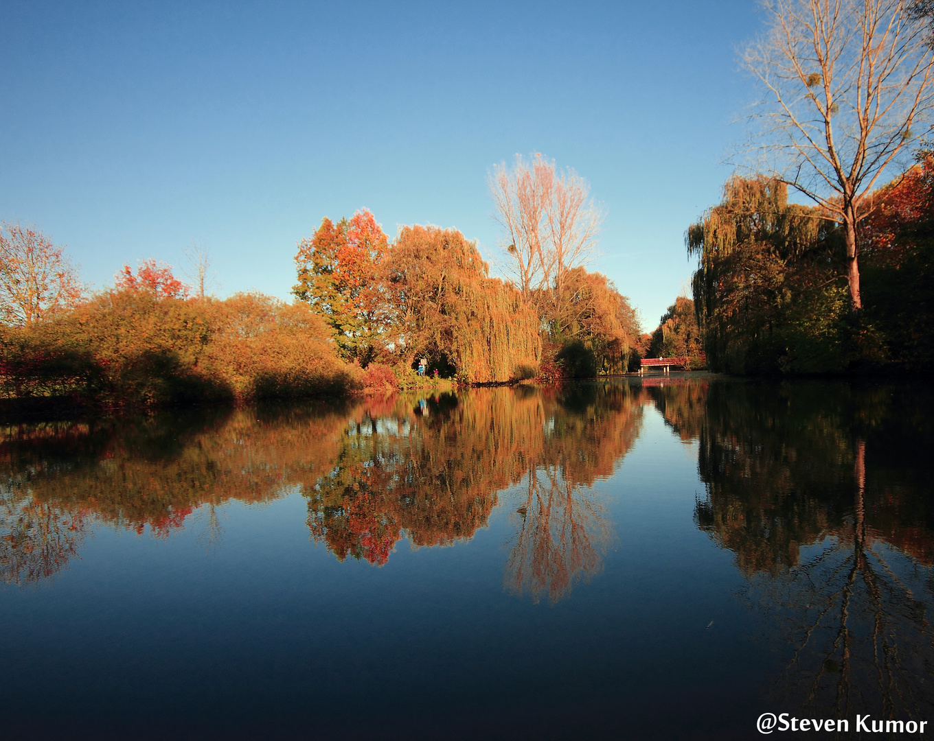 Herbst am Selbachpark