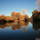 Herbst am Selbachpark