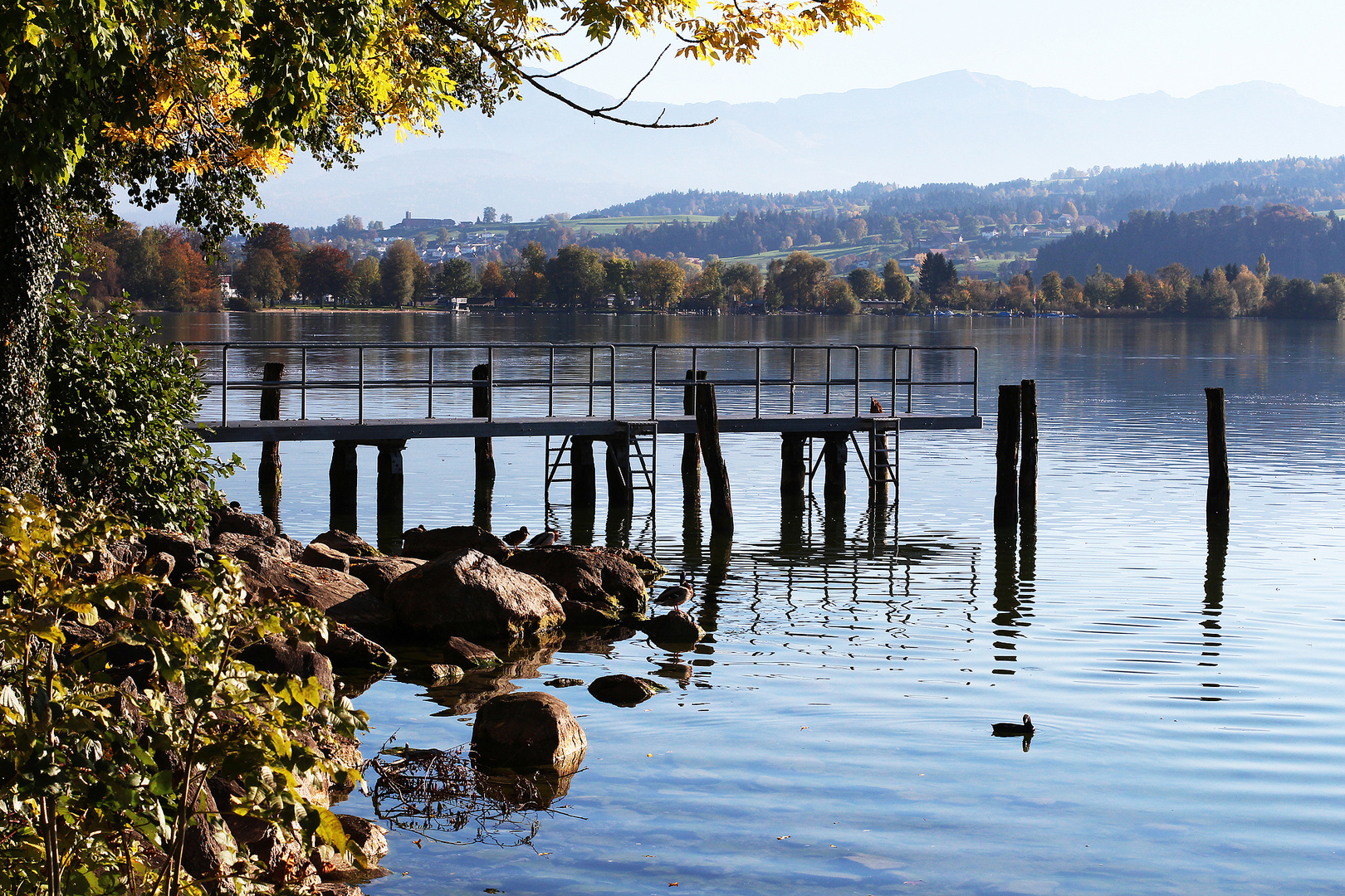 Herbst am Sempachersee