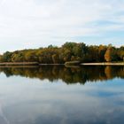 Herbst am Senftenberger See