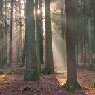 Herbst am Siedelberg