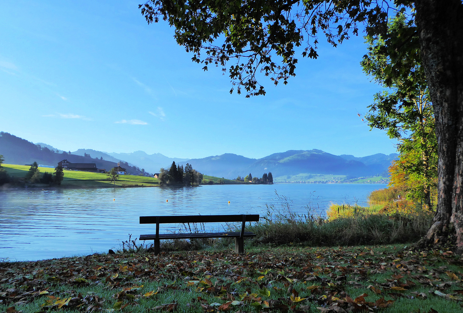 Herbst am Sihlsee