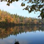 Herbst am Silber Teich-Braunlage