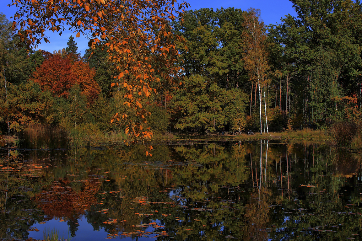 Herbst am Silbersee