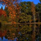 Herbst am Silbersee