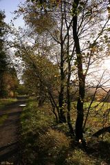 Herbst am Silbersee