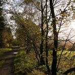 Herbst am Silbersee