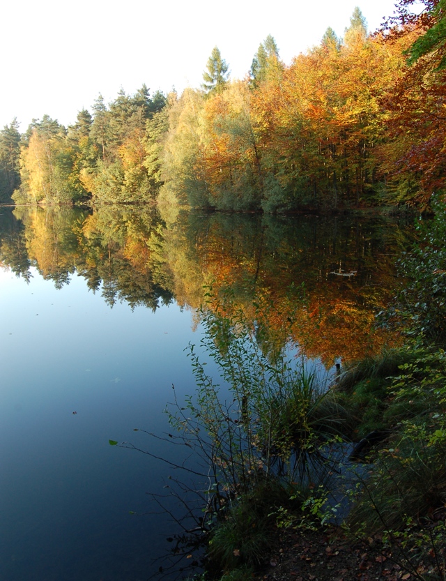 Herbst am Silbersee bei Weilerswist