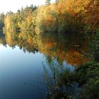 Herbst am Silbersee bei Weilerswist