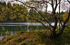 Herbst am silbersee III