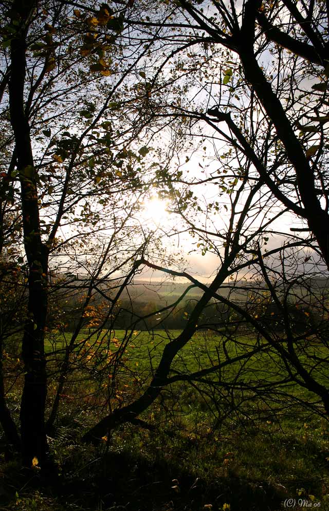 Herbst am Silbersee V