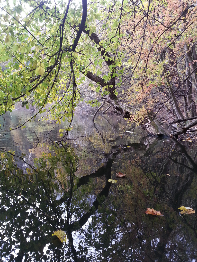 Herbst am Silbersee,Wien