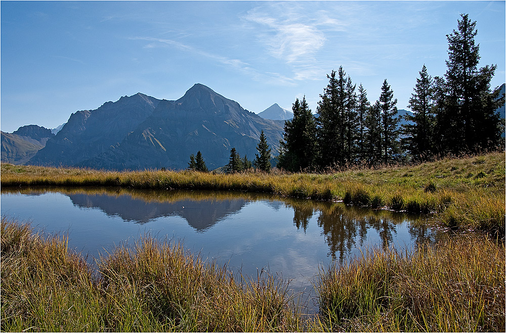 Herbst am Sillerensee