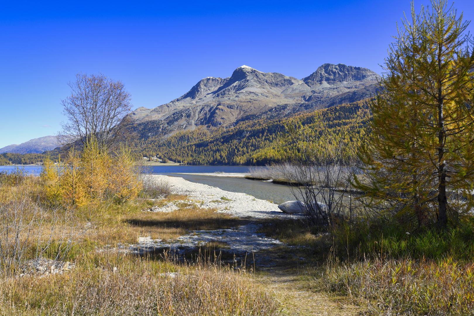 Herbst am Silser See 2