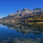 Herbst am Silser See