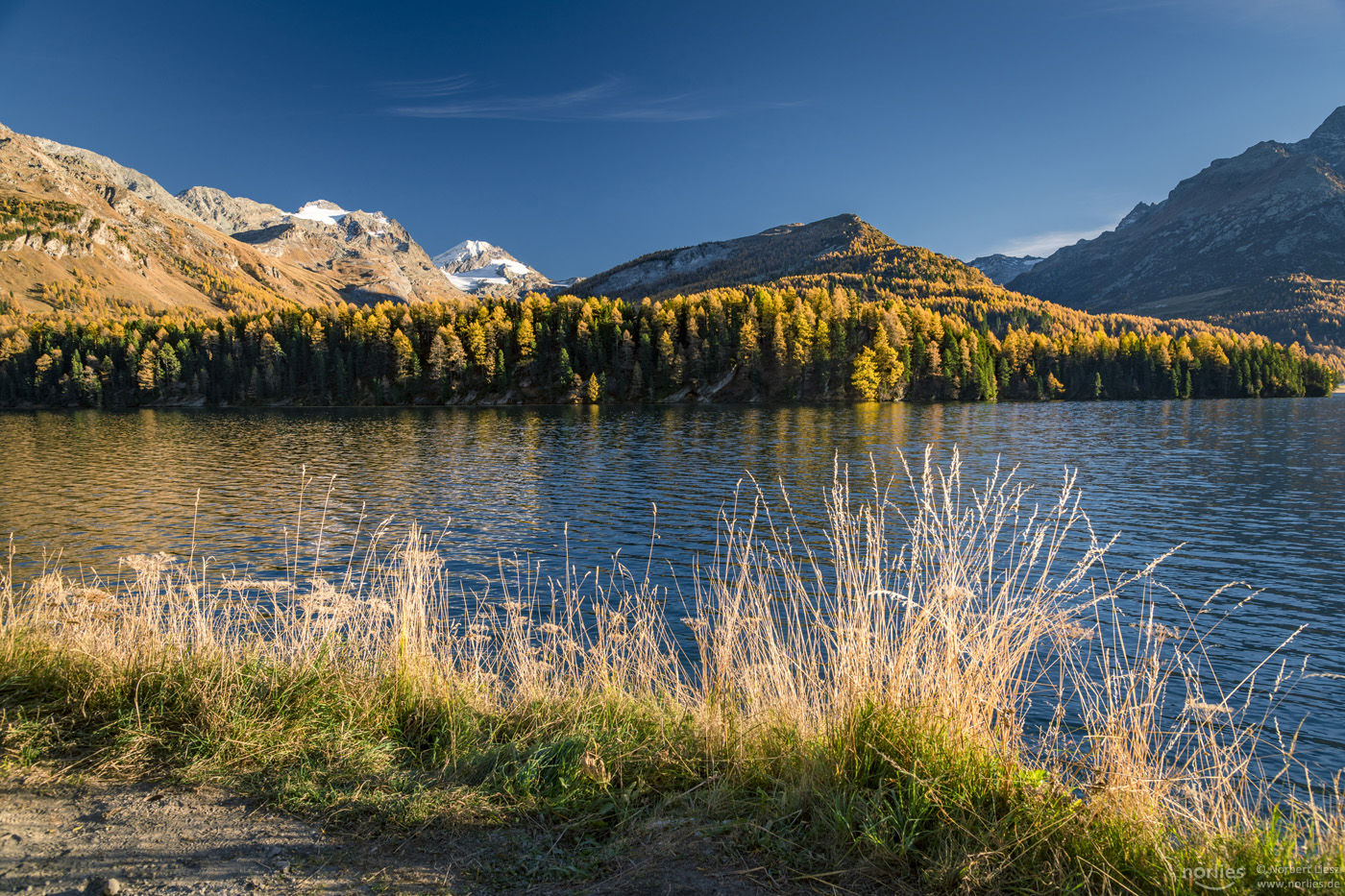 Herbst am Silsersee