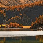 Herbst am Silsersee 