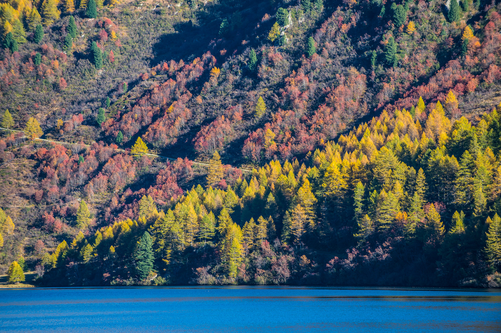 Herbst am Silsersee                         DSC_3006