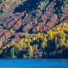 Herbst am Silsersee                         DSC_3006