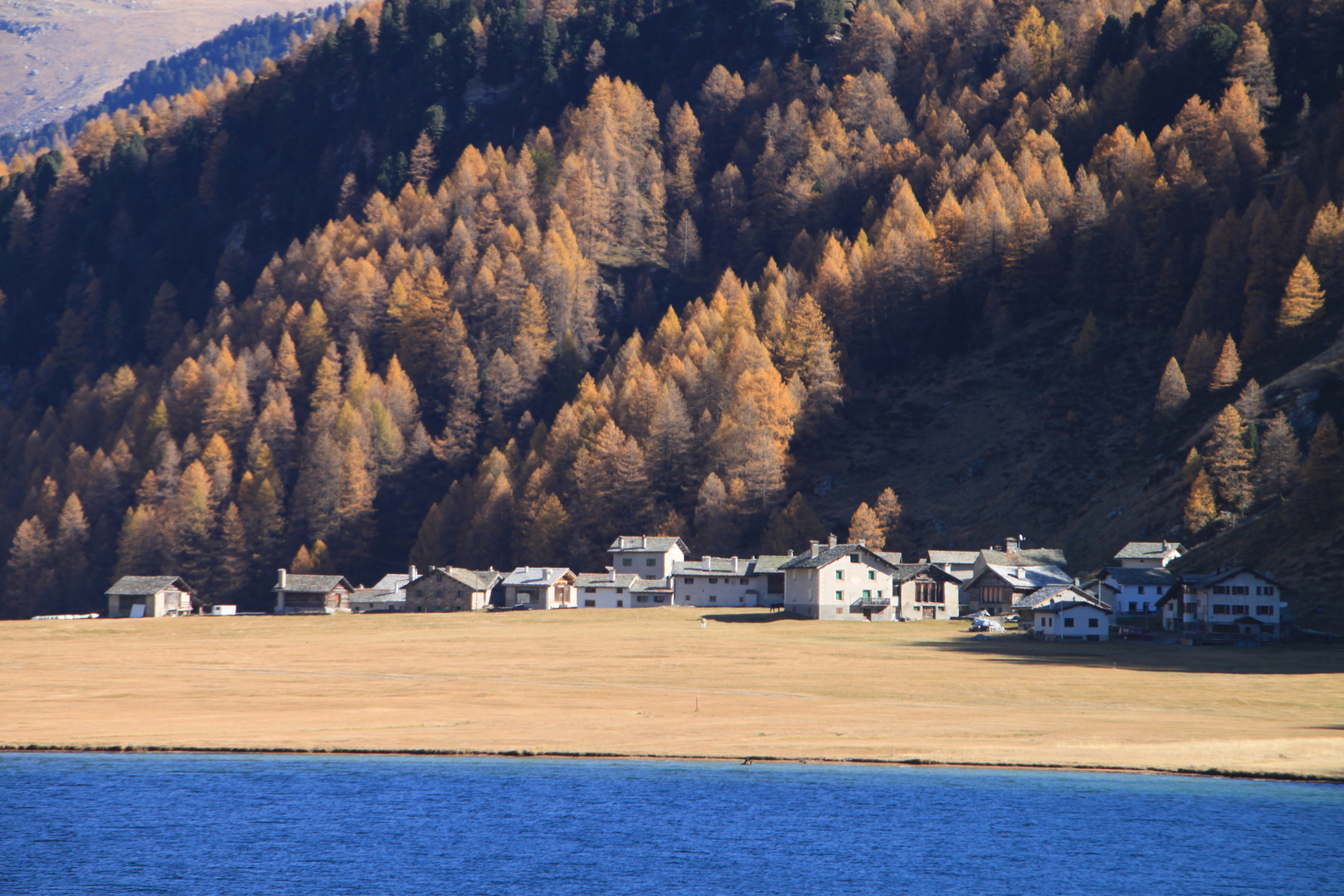 Herbst am Silsersee