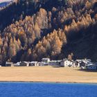 Herbst am Silsersee