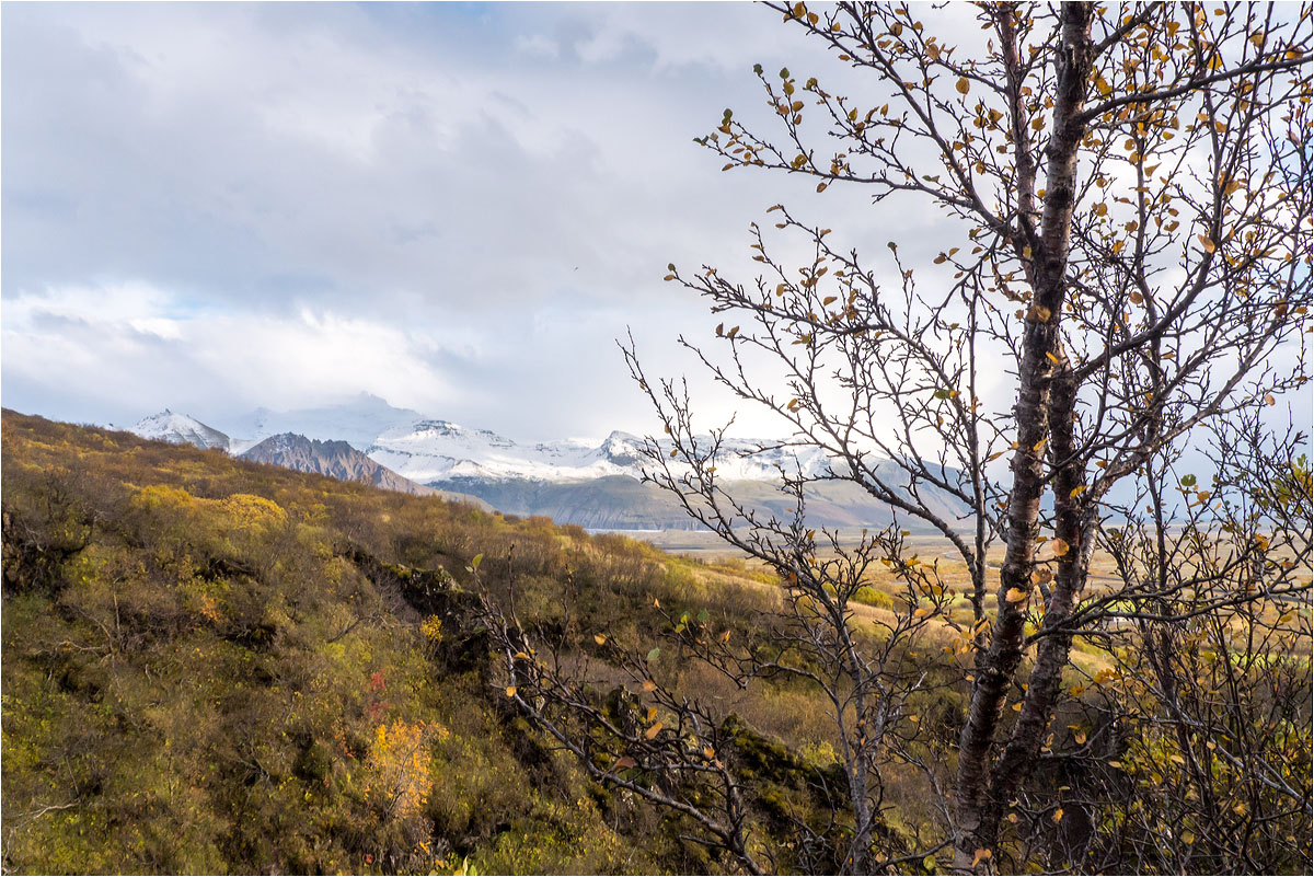 Herbst am Skaftafell