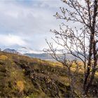 Herbst am Skaftafell