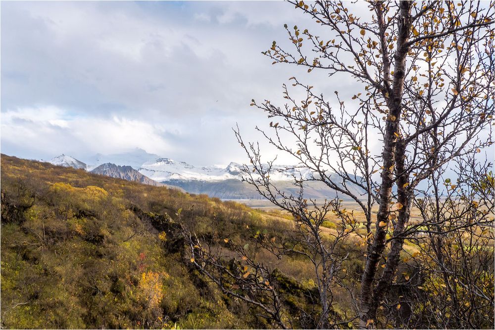 Herbst am Skaftafell