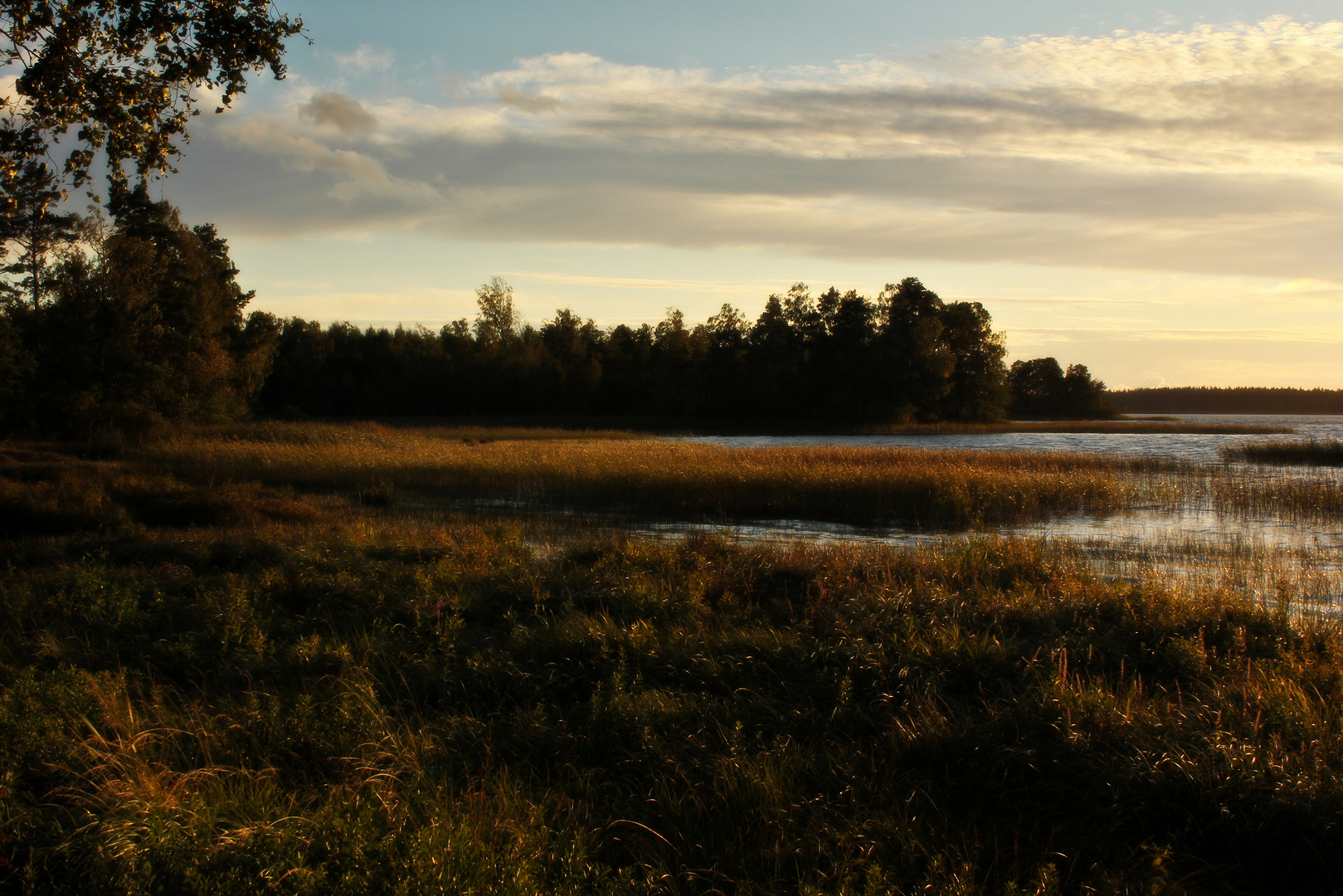 Herbst am Åsnen