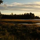 Herbst am Åsnen