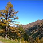 Herbst am Sölkpass