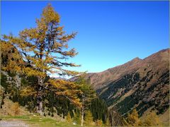 Herbst am Sölkpass