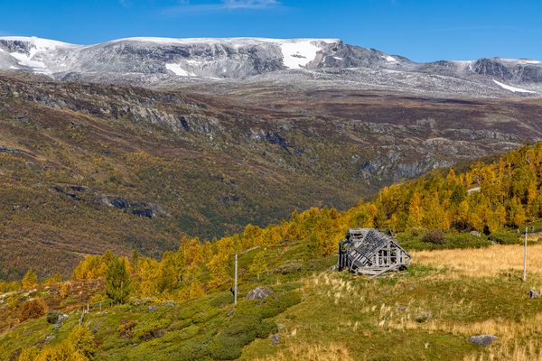 Herbst am Sognefjell