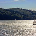 Herbst am Sorpesee