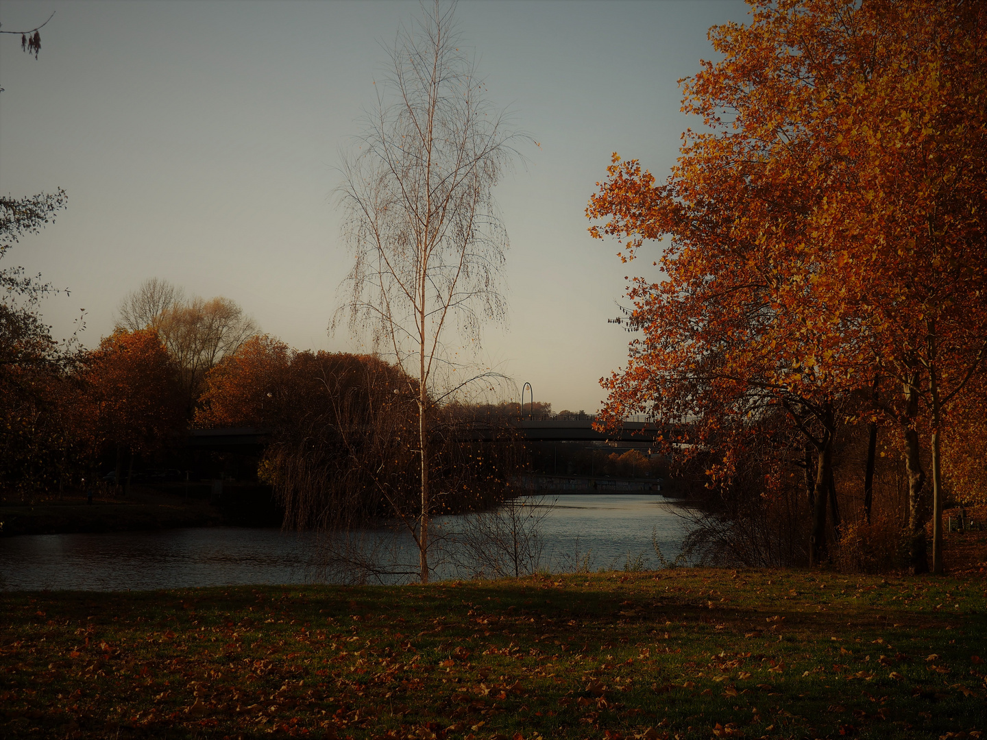 Herbst am Staden