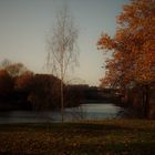 Herbst am Staden