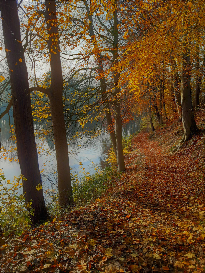 Herbst am Stader Horstsee 