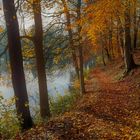 Herbst am Stader Horstsee 