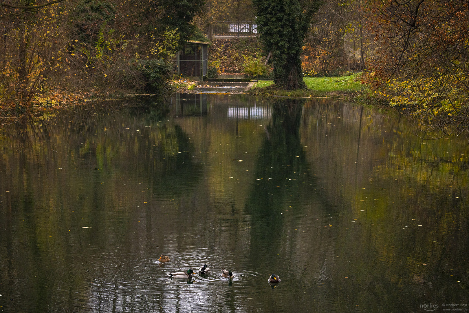 Herbst am Stadtgraben